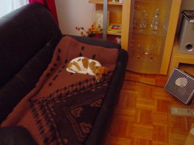DSC01170.jpg