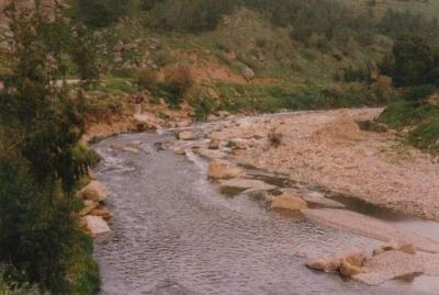 Pic 5.jpg