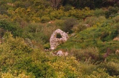 Pic 6.jpg