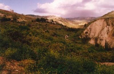 Pic 7.jpg