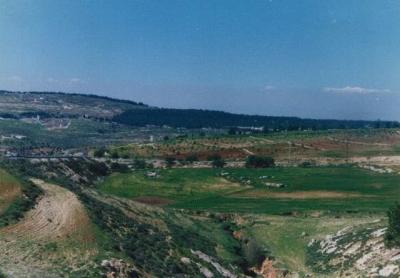 Pic 11.jpg
