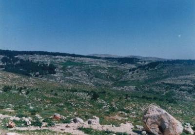 Pic 12.jpg