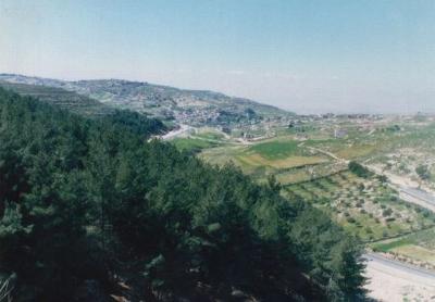 Pic 14.jpg