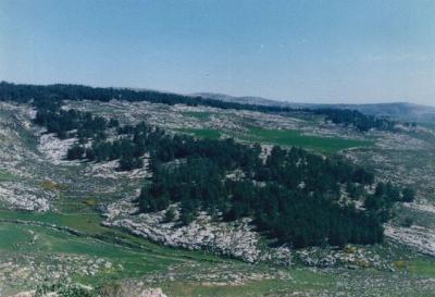 Pic15.jpg