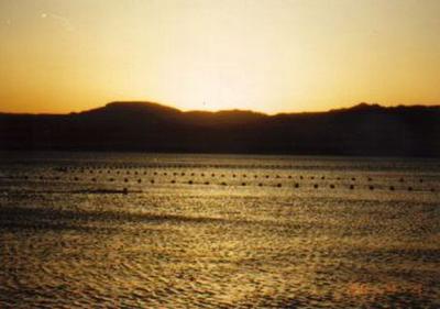Pic 18.jpg