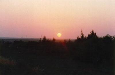 Pic 19.jpg