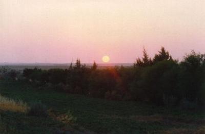 Pic 20 a.jpg