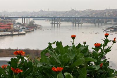 View of the Golden Horn from Eyup