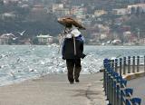 Simit Seller near Bebek