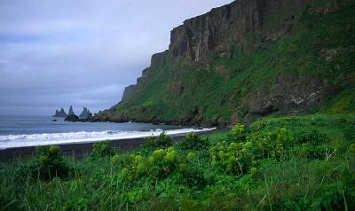 The coast at Vik