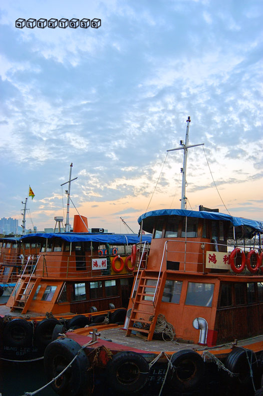 DSC_0741a.jpg