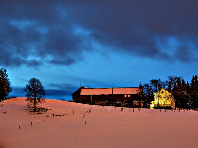 The House on the Hill