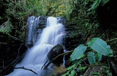 Cachoeira dos Buenos