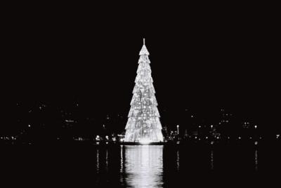 rvore da Lagoa - P&B (Christmas Tree - B&W)