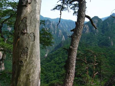 Seoraksan National Park