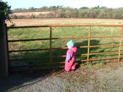 Working on the Farm  1.jpg