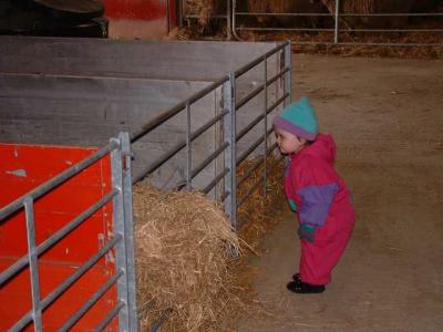 Working on the Farm  10.jpg