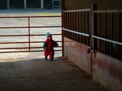 Working on the Farm  14.jpg