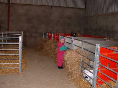 Working on the Farm  15.jpg
