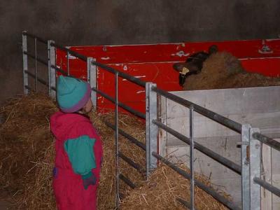 Working on the Farm  16.jpg