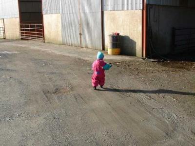 Working on the Farm  3.jpg