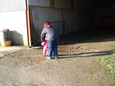 Working on the Farm  4.jpg