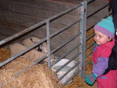 Working on the Farm  7.jpg