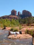 Resting at Cathedral - Red Rock Park