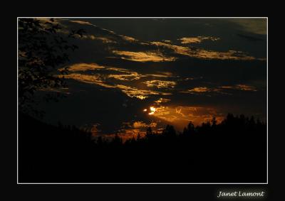 u40/aquaholic2/medium/32574249.DSC_0014E.jpg