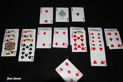 u40/aquaholic2/medium/40174429.DSC_2431E2.jpg