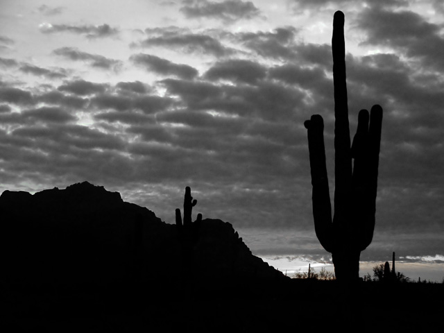 DSC06361BW.jpg
