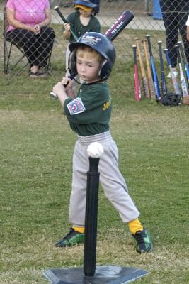 DSC_2400web.jpg