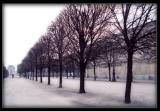 Jardin des Tuileries