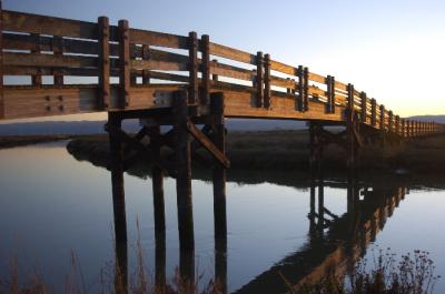 u40/baja_traveler/medium/25953423.Bridge.jpg