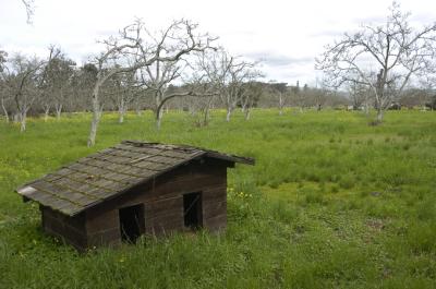u40/baja_traveler/medium/26199374.DogHouse.jpg