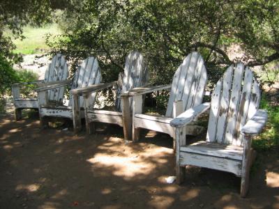 A Quite Scene in the shade in Baja!