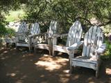 A Quite Scene in the shade in Baja!