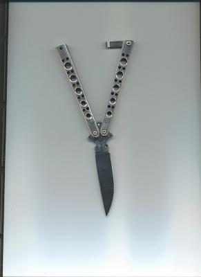 u40/balisong/medium/39306950.10splcustom2.jpg