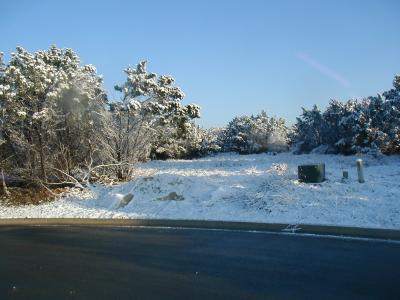PIC00011.JPG