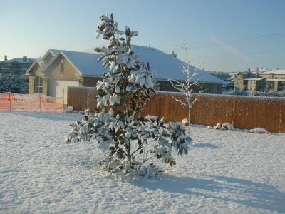 PIC00013.JPG