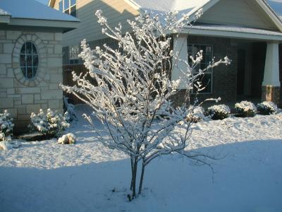 PIC00014.JPG