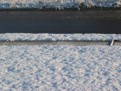 100-0036_IMG.JPG