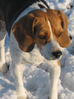 Snow!