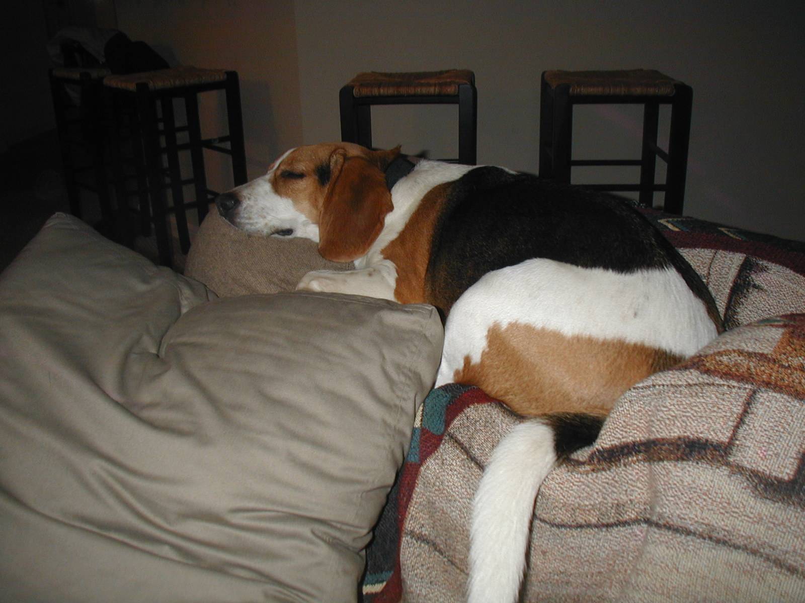 PIC00007.JPG