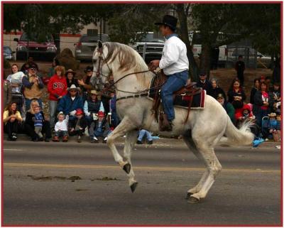 Dancing Horse