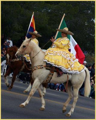 Florecitas Del Desierto