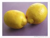 Sweet lemons