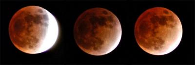 u40/bellwoodmder/medium/26085064.eclipse110803.jpg
