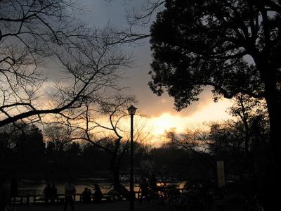 u40/bennyyune/medium/26098791.Kichijoji10.jpg