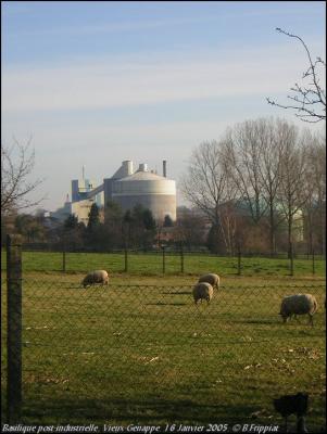 Basilique post-industrielle. Vieux-Genappe. Janvier 2005.